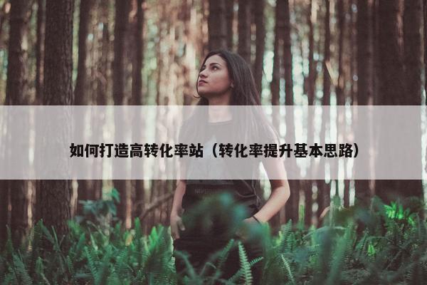 如何打造高转化率站（转化率提升基本思路）