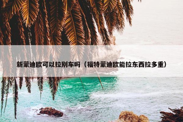 新蒙迪欧可以拉别车吗（福特蒙迪欧能拉东西拉多重）