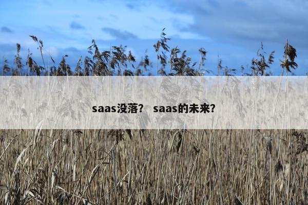 saas没落？ saas的未来？