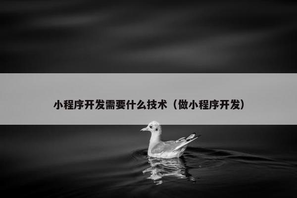 小程序开发需要什么技术（做小程序开发）
