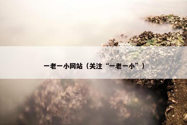 一老一小网站（关注“一老一小”）