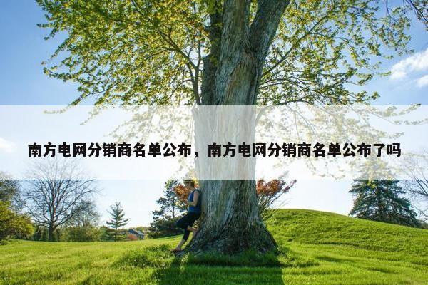 南方电网分销商名单公布，南方电网分销商名单公布了吗