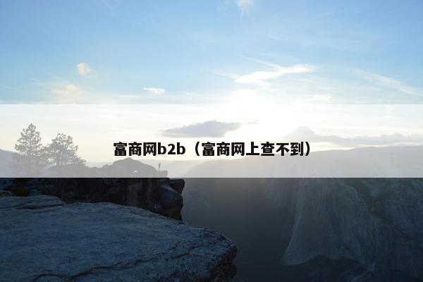 富商网b2b（富商网上查不到）