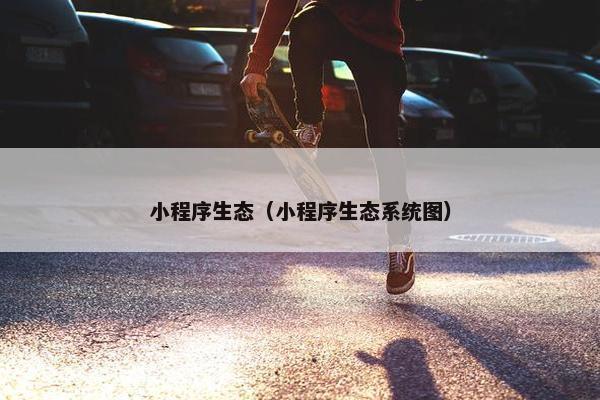 小程序生态（小程序生态系统图）
