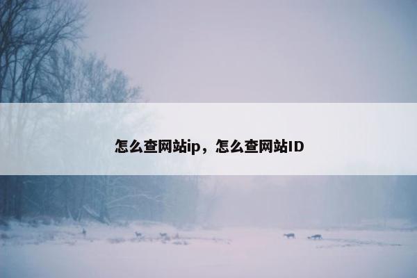 怎么查网站ip，怎么查网站ID