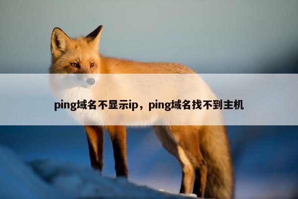 ping域名不显示ip，ping域名找不到主机