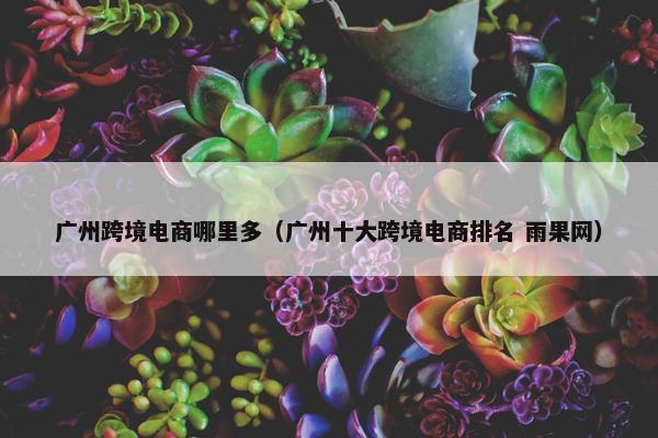 广州跨境电商哪里多（广州十大跨境电商排名 雨果网）