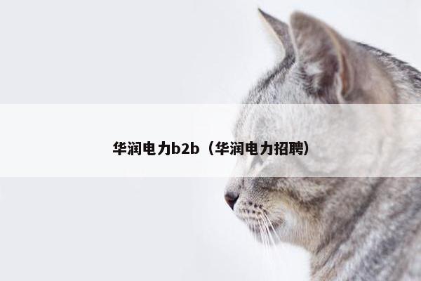 华润电力b2b（华润电力招聘）