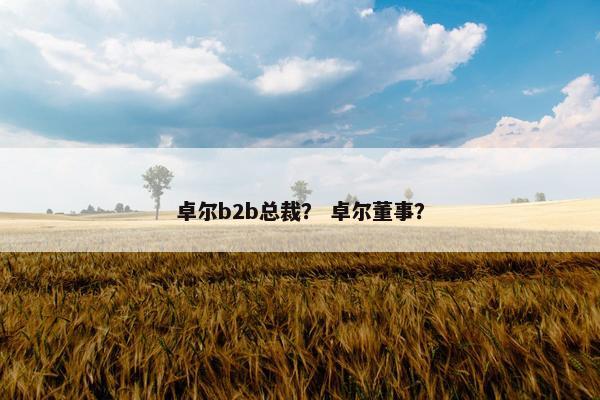 卓尔b2b总裁？ 卓尔董事？