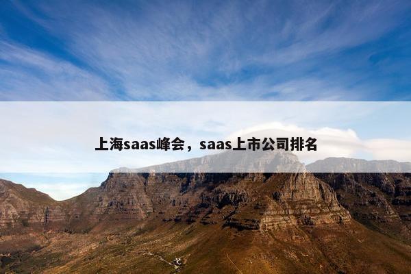 上海saas峰会，saas上市公司排名