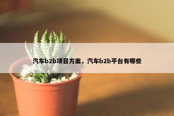 汽车b2b项目方案，汽车b2b平台有哪些