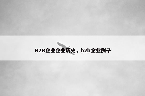 B2B企业企业历史，b2b企业例子
