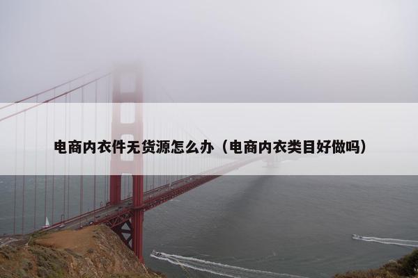 电商内衣件无货源怎么办（电商内衣类目好做吗）