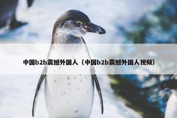 中国b2b震撼外国人（中国b2b震撼外国人视频）