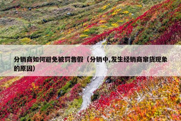 分销商如何避免被罚售假（分销中,发生经销商窜货现象的原因）