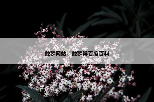 戴梦网站，戴梦得百度百科