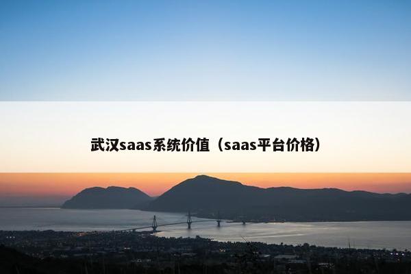 武汉saas系统价值（saas平台价格）