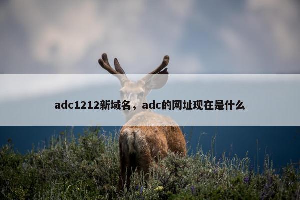 adc1212新域名，adc的网址现在是什么