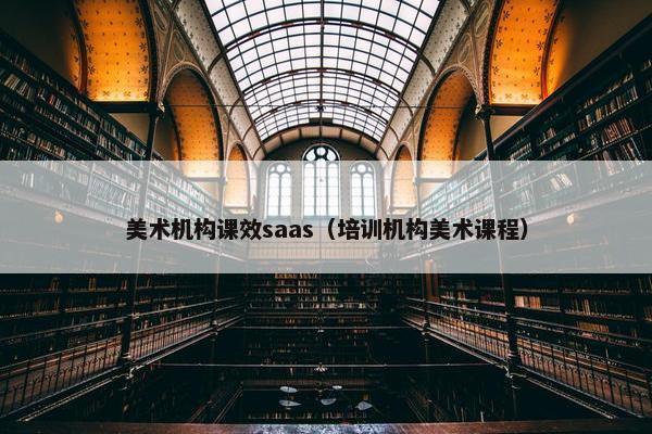 美术机构课效saas（培训机构美术课程）