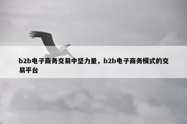 b2b电子商务交易中坚力量，b2b电子商务模式的交易平台