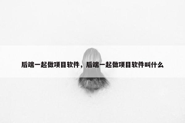后端一起做项目软件，后端一起做项目软件叫什么