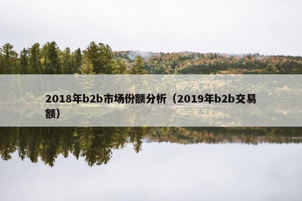 2018年b2b市场份额分析（2019年b2b交易额）