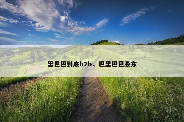 里巴巴到底b2b，巴里巴巴股东