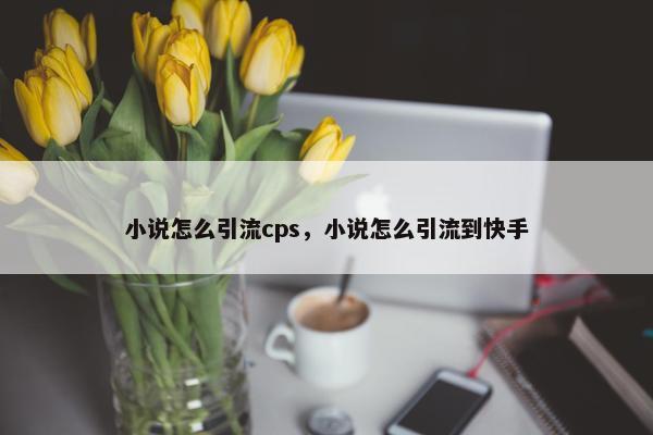 小说怎么引流cps，小说怎么引流到快手