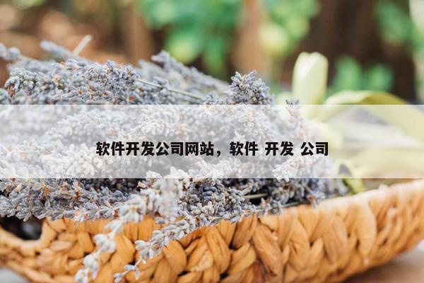 软件开发公司网站，软件 开发 公司