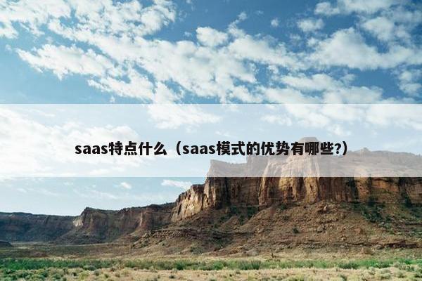 saas特点什么（saas模式的优势有哪些?）
