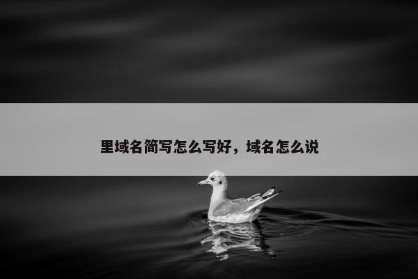 里域名简写怎么写好，域名怎么说