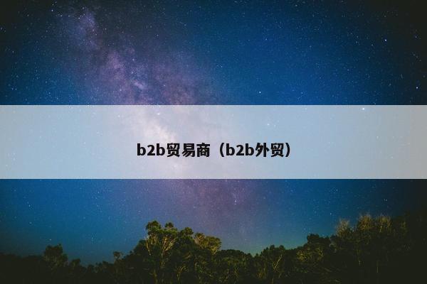 b2b贸易商（b2b外贸）