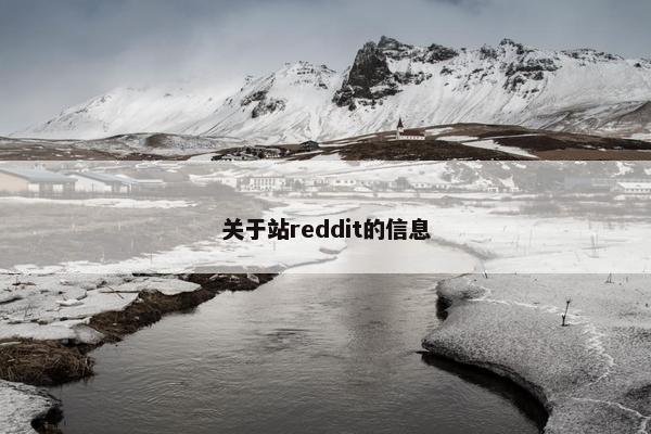 关于站reddit的信息