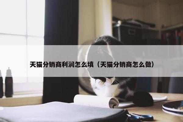 天猫分销商利润怎么填（天猫分销商怎么做）