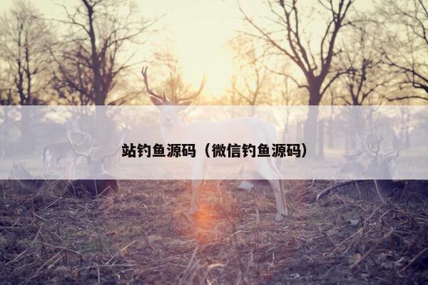 站钓鱼源码（微信钓鱼源码）