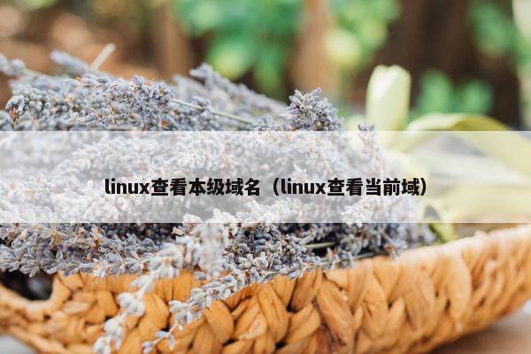 linux查看本级域名（linux查看当前域）