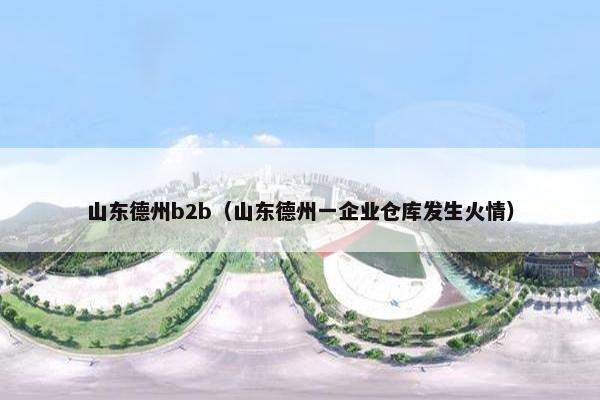 山东德州b2b（山东德州一企业仓库发生火情）