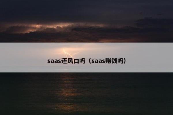 saas还风口吗（saas赚钱吗）