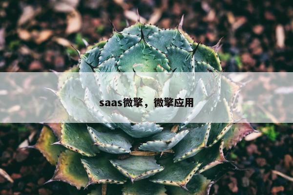 saas微擎，微擎应用