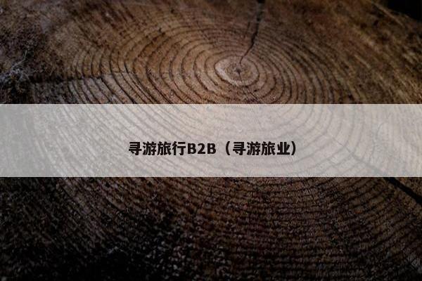 寻游旅行B2B（寻游旅业）