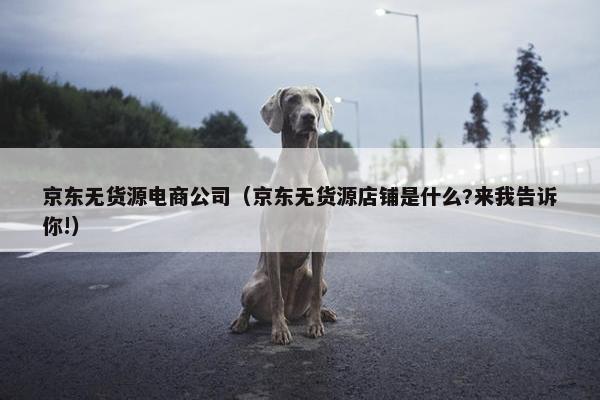 京东无货源电商公司（京东无货源店铺是什么?来我告诉你!）