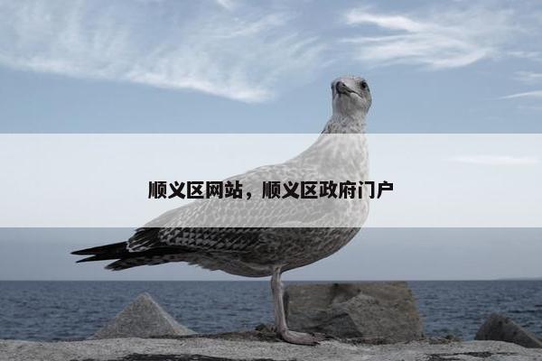 顺义区网站，顺义区政府门户