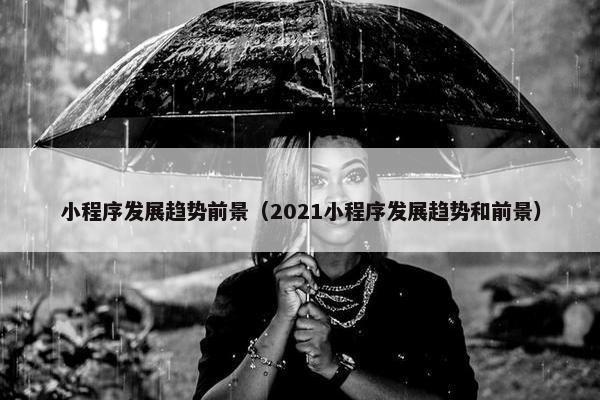小程序发展趋势前景（2021小程序发展趋势和前景）