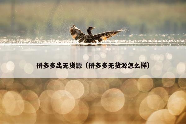 拼多多出无货源（拼多多无货源怎么样）