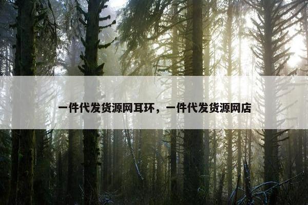 一件代发货源网耳环，一件代发货源网店