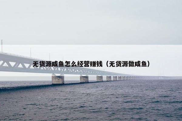 无货源咸鱼怎么经营赚钱（无货源做咸鱼）
