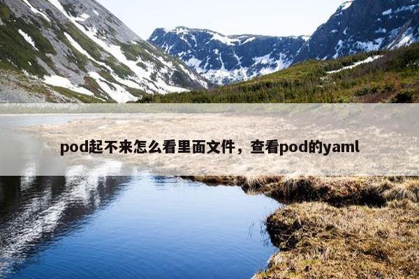 pod起不来怎么看里面文件，查看pod的yaml