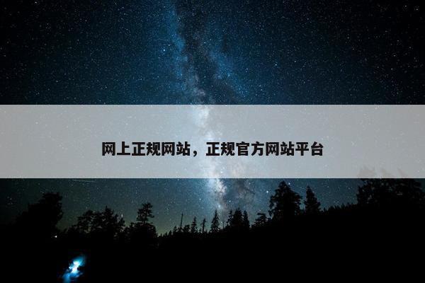 网上正规网站，正规官方网站平台