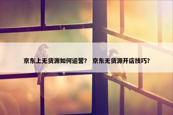 京东上无货源如何运营？ 京东无货源开店技巧？