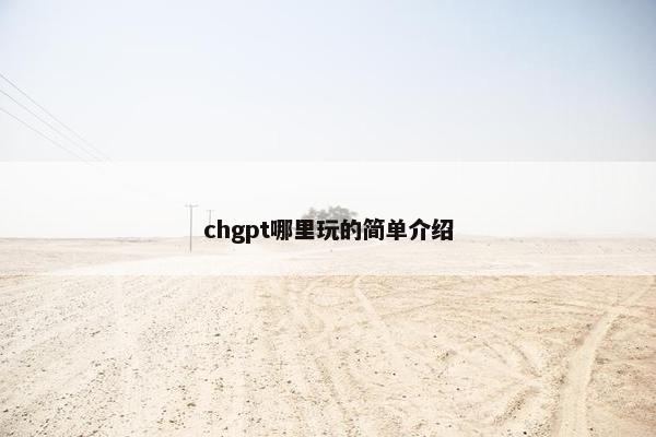 chgpt哪里玩的简单介绍